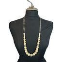 Petal Silver and faux /rhinestone accented long necklace Photo 0