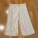 J.Jill  linen stretch Jenna striped belted wide leg crop pants size xlarge . Photo 8