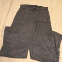 American Eagle Outfitters Cargo Pants Photo 1