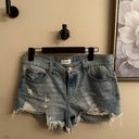 Pistola Distressed Jean Shorts Photo 2