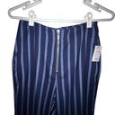 The Row STONE VOLCOM FUTURE ME STRIPE PANTS BLUE STRIPED HIGH WAISTED CROPPED ANKLE Photo 2