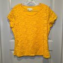 Coldwater Creek  Mustard Yellow Lace Scoop Neck Short Sleeve Tee size L Photo 0