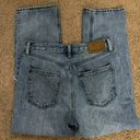 Aritzia Denim Forum The Joni High Rise Loose Jean, Size 26 Photo 1