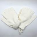 Francescas convertible pull over gloves/mittens Photo 1