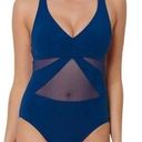 Bleu Rod Beattie  Women's Blue Sheer Mesh Panel Strappy Back One Piece Swimsuit Photo 0