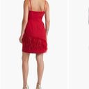 Sam Edelman Feather hem sheath Red Wine Dress NWT $158 Valentines Lady in red 6 Photo 4