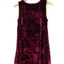 BB Dakota Meyer Wine Sleeveless Shift Crushed Velvet Dress Size XS Photo 6