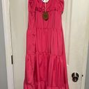 BIBI Maxi Dress Pink Photo 1