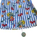 Show Me Your Mumu  Fruit Basket Plaza Blue Striped Pull On Midi Skirt SZ XS Photo 13