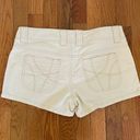 Aeropostale Vintage Shorts Photo 1