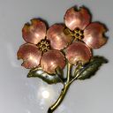 Kenneth Cole Goldtone Metal Dogwood Brooch Peach Green Gold Enamel Floral Photo 0