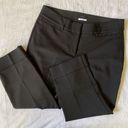 Lane Bryant  The Lena Wide Leg Cuff Crop Trouser Black 14 Photo 0