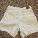 American Eagle Outfitters Jean Shorts Photo 1