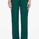 ANINE BING  Emerald Green Classic Straight Leg Silk Pants Size 38 NWT Photo 0