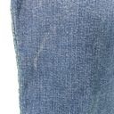 Lane Bryant Short Inseam Signature Fit Mid-Rise Straight Leg Jeans Photo 4