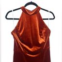 The Moon Threads Auburn Velvet Halter Dress Photo 3