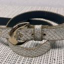 Elite Vintage sparkle glitter metallic silver gold belt 36” long Photo 0