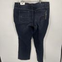 Maurice's  M Jeans Straight Mid Rise Size 24W Short New With Tags Photo 6