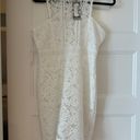 Boohoo NWT BOUTIQUE LACE RACER NECK BODYCON DRESS Photo 3