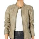 Sebby  Collection Dark Beige Faux-Leather Racing Jacket Size XXL Photo 0