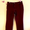 kim rogers NWOT  Burgundy Straight Leg Jean 18 Photo 0