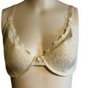 Jones New York  Cream Lace Underwire Bra -36D Photo 8