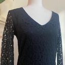 Laundry by Shelli Segal  Black Lace Cocktail Size 6 Sheath Bell Sleeves Classic Photo 2