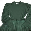 Krass&co NWT Ivy City . Cosette Midi in Green Tiered Tulle Skirt Fit & Flare Dress L Photo 1