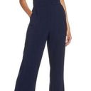 Harper  ROSE Scarf Neck Crepe Jumpsuit Photo 0