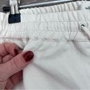 Wilfred Aritzia  white joggers Photo 5