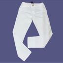 Tommy Hilfiger  White Chino Pants(Size 4) Photo 1