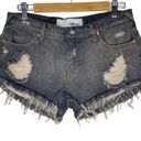 The Laundry Room  California Shorts Size 29 Distressed Cut Off Grey Women's Denim Photo 5