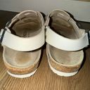 Birkenstock Slingback Clog Size 37 Photo 6