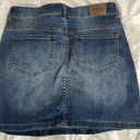 Wild Blue Jean Skirt Photo 2