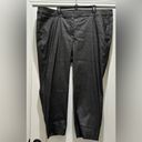 Lane Bryant  Allie Stretch Skinny Ankle Black Pant 26 Metallic Silver Photo 1