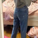 American Eagle  Mom Jeans  Photo 1