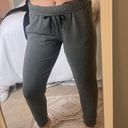 All In Motion Grey Joggers Photo 1