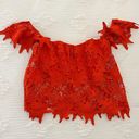 ASTR red cropped design top Photo 0