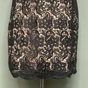 Jessica Simpson NWOT  Black Lace w/ Nude Lining Cap Sleeves Women’s Dress Size 10 Photo 3