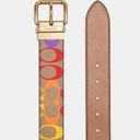 Coach  rainbow belt for men with signature c4153 Photo 5