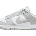 Nike Light Grey 2023  DUNKS Photo 1