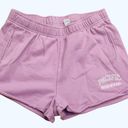 PacSun Purple Pastel Sweat Shorts Pull On M Photo 0