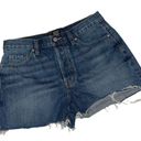 BDG  BOYFRIEND LOW RISE JEAN SHORTS size 26 Photo 6