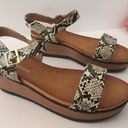 Snake Print Sandals, Size 7 1/2 Gray Photo 0