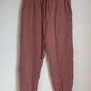 Lulus NWT  Boat House Drawstring Jogger Sweatpants in Mauve Pink Photo 2