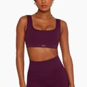 Set Active Sculptflex Box Cut Bra Maroon Bells Photo 0