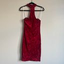 Blanc Strapless Crushed Velvet Choker Dress Photo 3