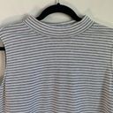 cj banks  Gray and White Sleeveless Stretch Knit Top Size 1X Photo 2