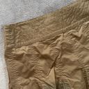 CAbi Brown Midi  Ruffle Skirt Photo 2