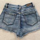 BLANK NYC Light wash Jean Shorts Photo 1